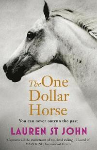 bokomslag The One Dollar Horse