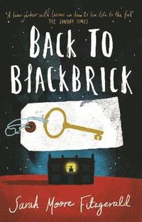 bokomslag Back to Blackbrick