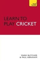 Learn to Play Cricket: Teach Yourself
