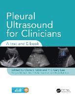 bokomslag Pleural Ultrasound for Clinicians
