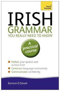 bokomslag Irish Grammar You Really Need to Know: Teach Yourself