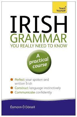 bokomslag Irish Grammar You Really Need to Know: Teach Yourself