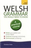 bokomslag Welsh Grammar You Really Need to Know: Teach Yourself