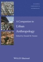 bokomslag A Companion to Urban Anthropology