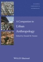 Companion to Urban Anthropology 1