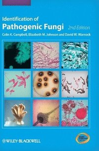 bokomslag Identification of Pathogenic Fungi