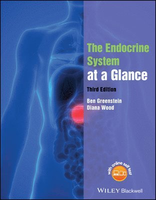 Ben Greenstein, Diana F. Wood - Endocrine System at a Glance, Häftad