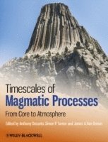bokomslag Timescales of Magmatic Processes