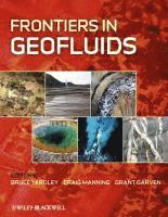 bokomslag Frontiers in Geofluids