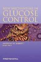 Anthony H. Barnett, Jenny Grice - New Mechanisms in Glucose Control, Häftad
