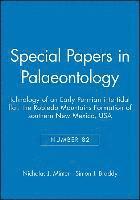 bokomslag Special Papers in Palaeontology, Ichnology of an Early Permian Intertidal Flat