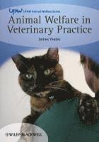 James Yeates - Animal Welfare in Veterinary Practice, Häftad