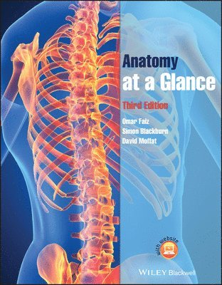 bokomslag Anatomy at a Glance