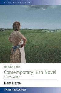 bokomslag Reading the Contemporary Irish Novel 1987 - 2007