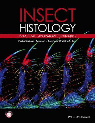 Insect Histology 1