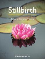 bokomslag Stillbirth