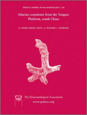 Special Papers in Palaeontology, Silurian Conodonts from the Yangtze Platform, South China 1