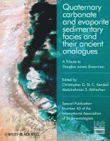 bokomslag Quaternary Carbonate and Evaporite Sedimentary Facies and Their Ancient Analogues