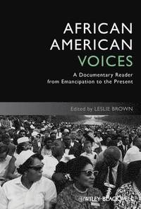 bokomslag African American Voices