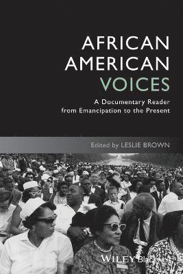 bokomslag African American Voices