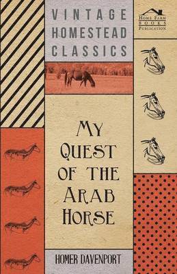 My Quest Of The Arab Horse 1