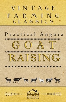 bokomslag Practical Angora Goat Raising