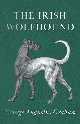 The Irish Wolfhound 1