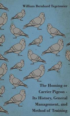 Homing Or Carrier Pigeon