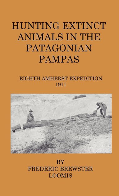 bokomslag Hunting Extinct Animals In The Patagonian Pampas