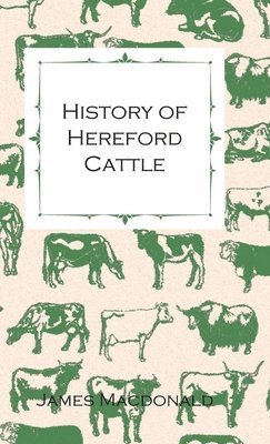 History Of Hereford Cattle 1