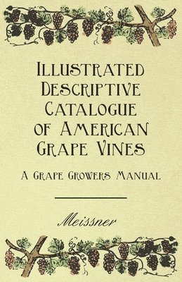 Illustrated Descriptive Catalogue Of American Grape Vines - A Grape Growers Manual