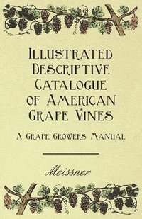 bokomslag Illustrated Descriptive Catalogue Of American Grape Vines - A Grape Growers Manual