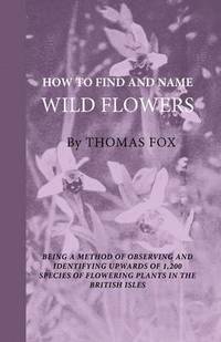 bokomslag How To Find And Name Wild Flowers - Being A New Method Of Observing And Identifying Upwards Of 1,200 Species Of Flowering Plants In The British Isles