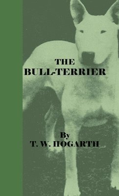 The Bull-Terrier 1