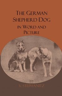 bokomslag The German Shepherd Dog In Word And Picture
