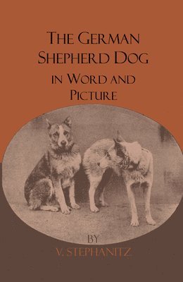 The German Shepherd Dog In Word And Picture 1