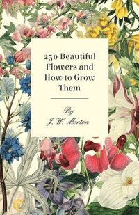 bokomslag 250 Beautiful Flowers And How To Grow Them