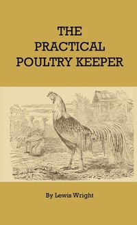 bokomslag The Practical Poultry Keeper