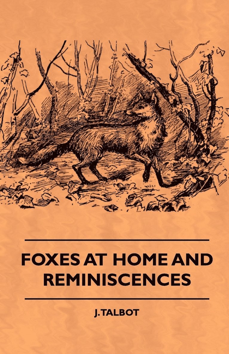 Foxes At Home And Reminiscences 1