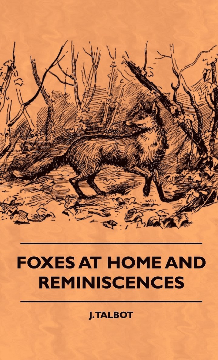 Foxes At Home And Reminiscences 1