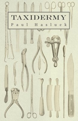 Paul Hasluck, Various - Taxidermy - Comprising The Skinning, Stuffing And Mounting Of Birds, Mammals And Fish, Häftad