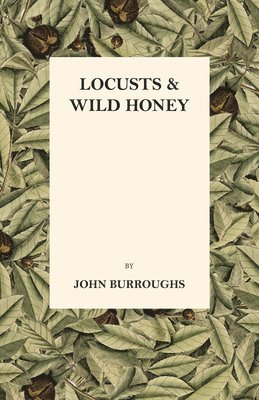 bokomslag Locusts And Wild Honey