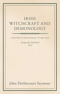 bokomslag Irish Witchcraft And Demonology