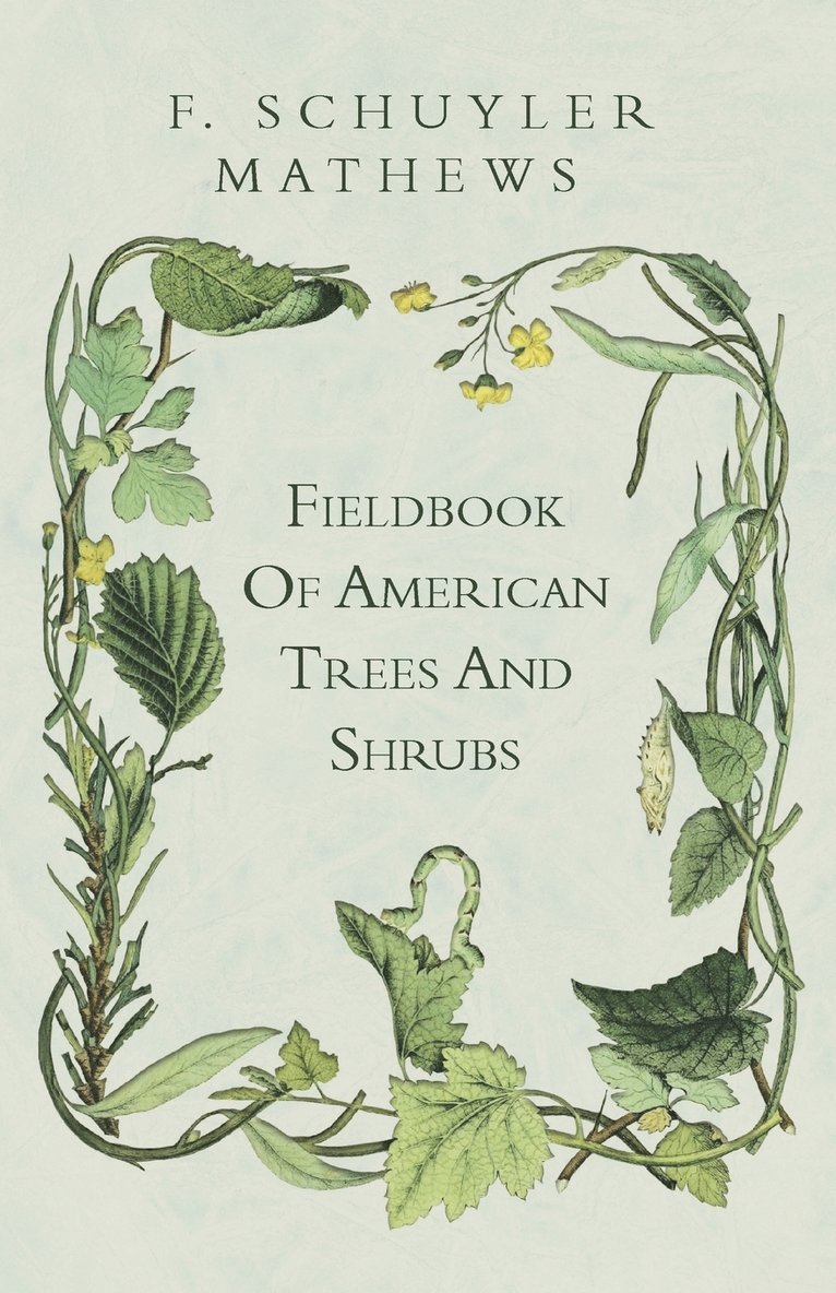 Fieldbook Of American Trees And Shrubs 1