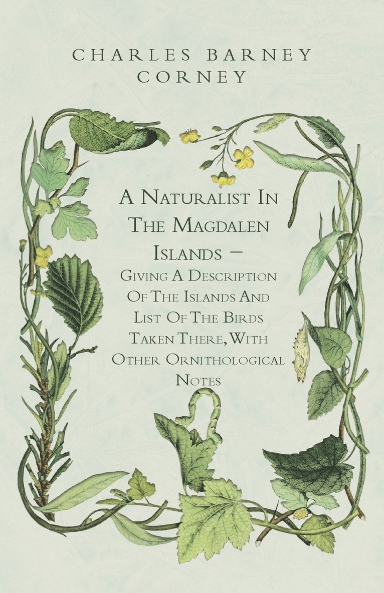 A Naturalist In The Magdalen Islands - Giving A Description Of The Islands And List Of The Birds Taken There, With Other Ornithological Notes 1