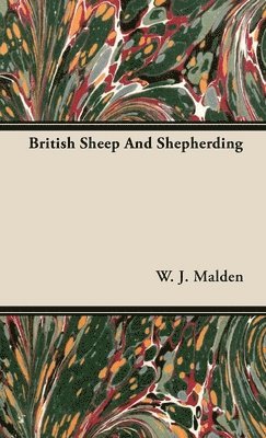 British Sheep And Shepherding 1