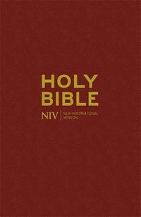 bokomslag NIV Popular Bible