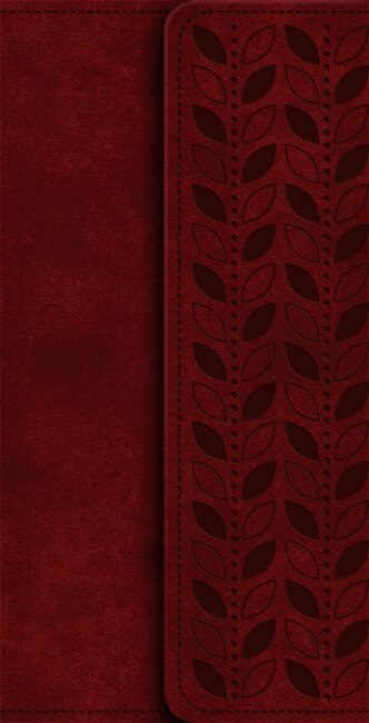 NIV Diary Cherry Soft-Tone Bible with Clasp
