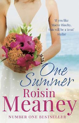 Roisin Meaney - One Summer, Häftad