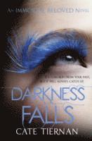 bokomslag Darkness Falls (Immortal Beloved Book Two)